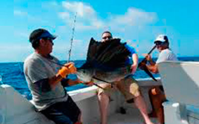 Deep-Sea-Fishing-In-Cancun-Sailfish-7