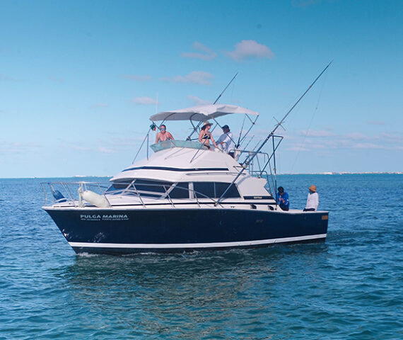 Fishing 31-33-FT boat