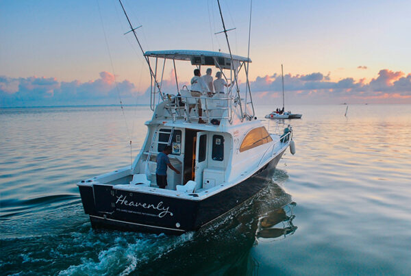 Fishing & Snorkel 31-33FT