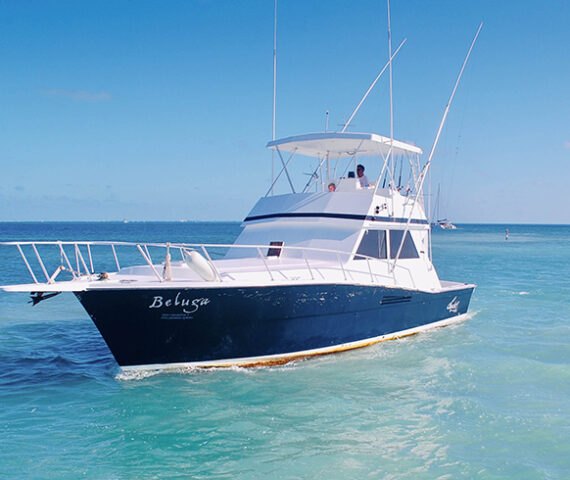 Pro Line 34-41 ft